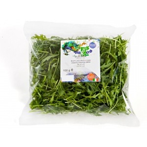 Rucola