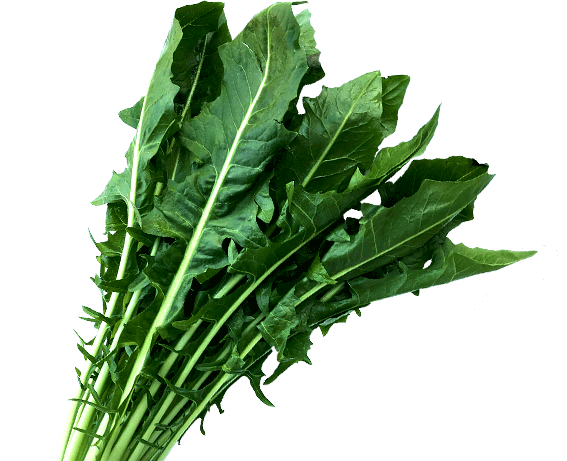 Vegetable image 1